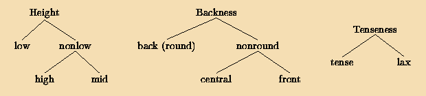 Height, Backness,
Tenseness